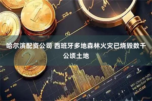 哈尔滨配资公司 西班牙多地森林火灾已烧毁数千公顷土地